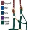 Weaver Breakaway Halter