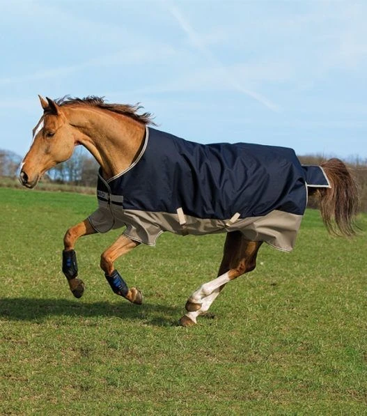 Amigo Sales Store -Amigo Sales Store navy tgan